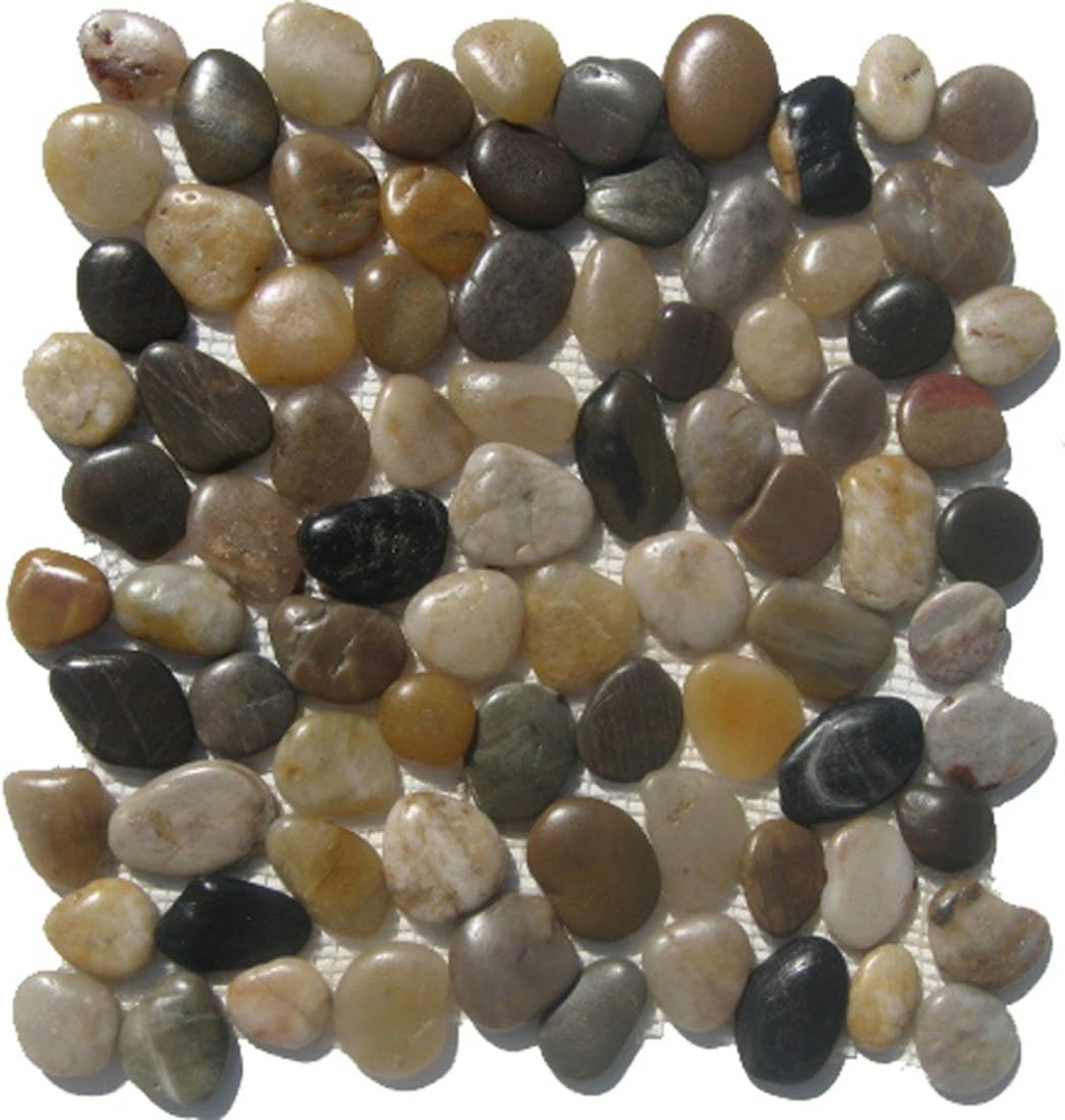 Mixed Natural River Rock Pebble Tile / 10 Sq Ft