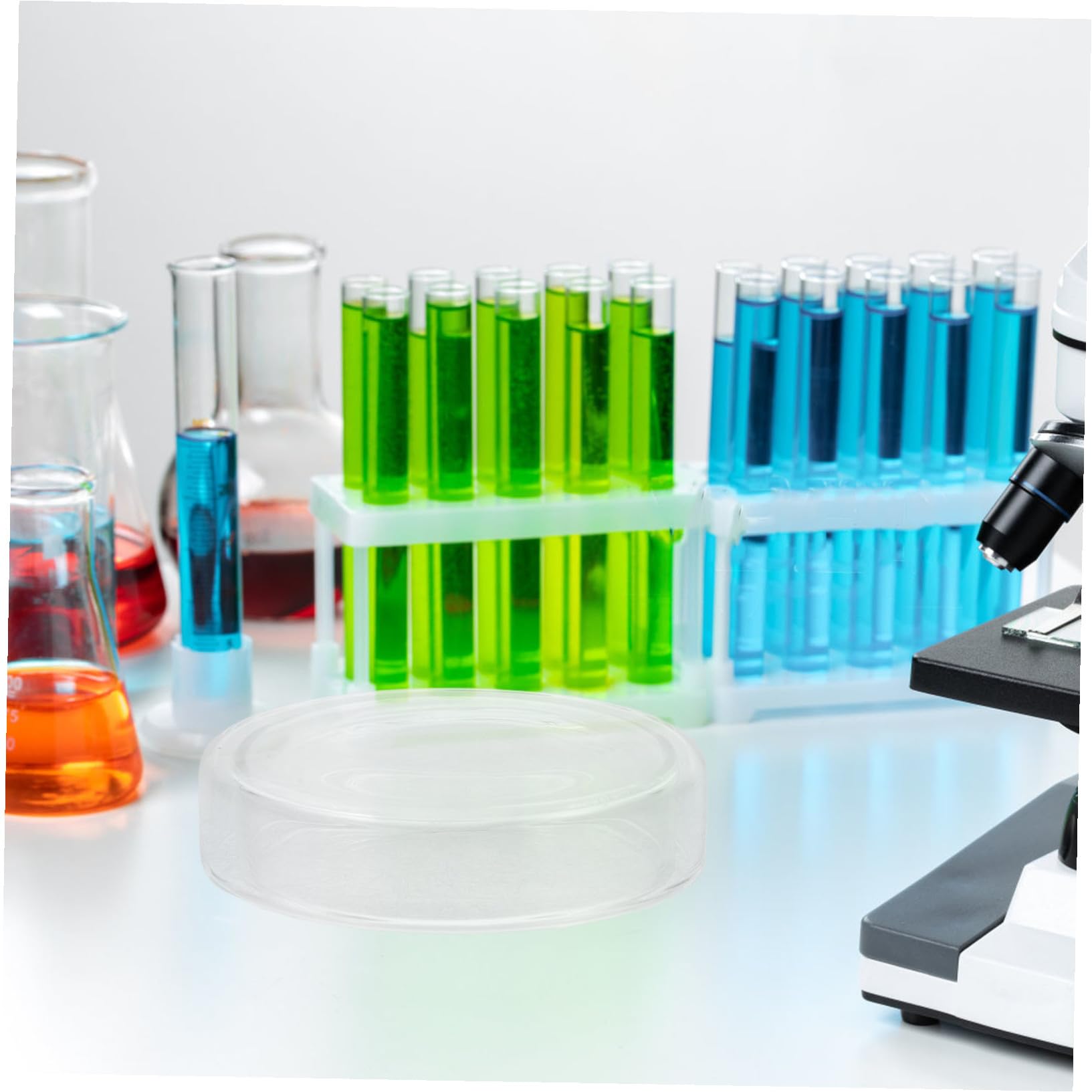 KOMBIUDA 6 pezzi Piastre Petri in Vetro Borosilicato Trasparenti con Coperchio Piatti per Crescita Cellulare per Laboratorio Adatti per Agar e Coltivazioni Funghi Facili da Pulire e