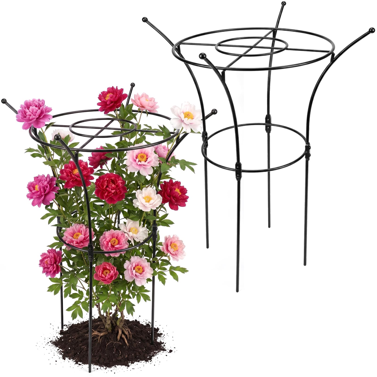 Amazon.com : HEYTIMI 1 Pack Large Peony Cages and Supports, 38