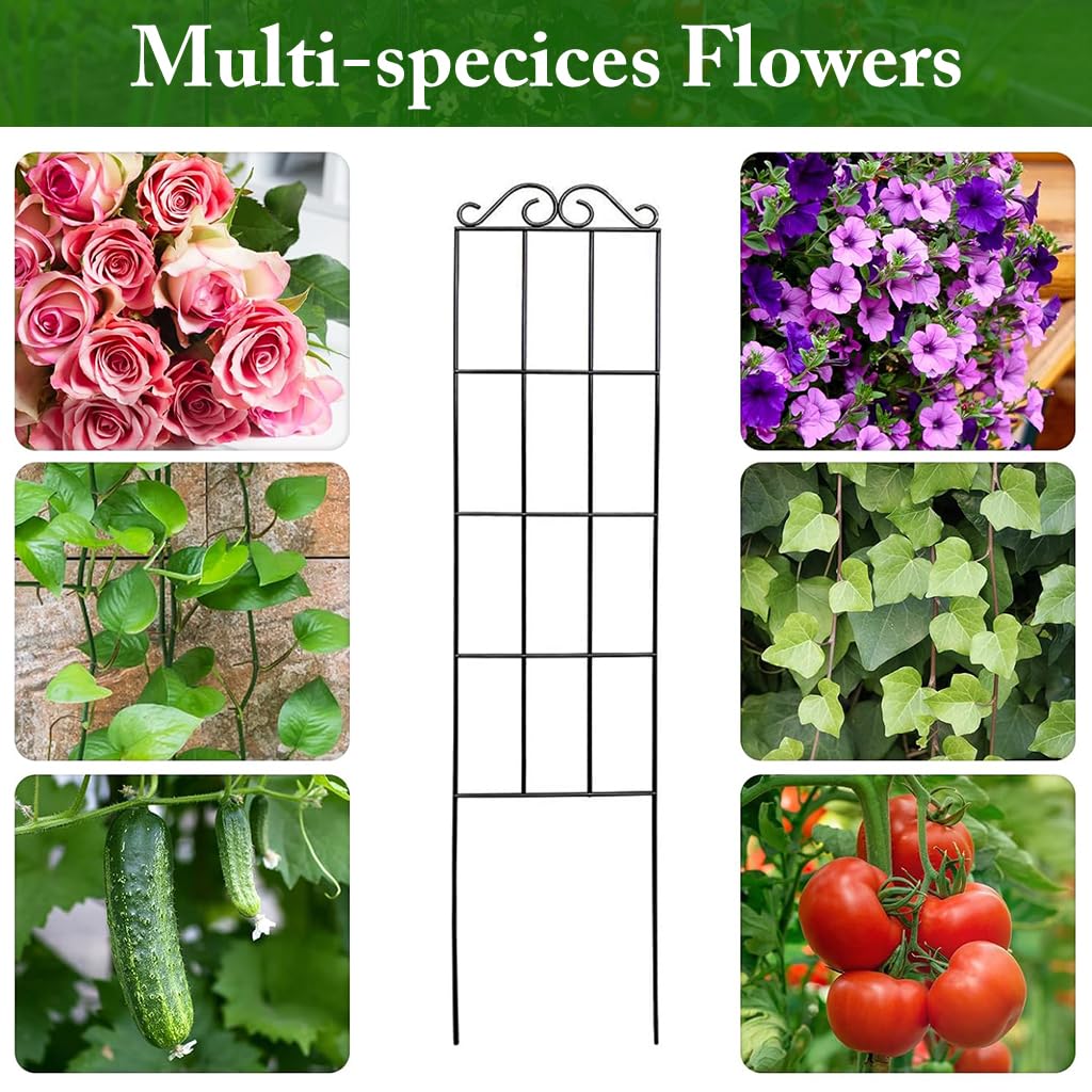 Metal Plant Trellis - Support Climbing Vines -3
