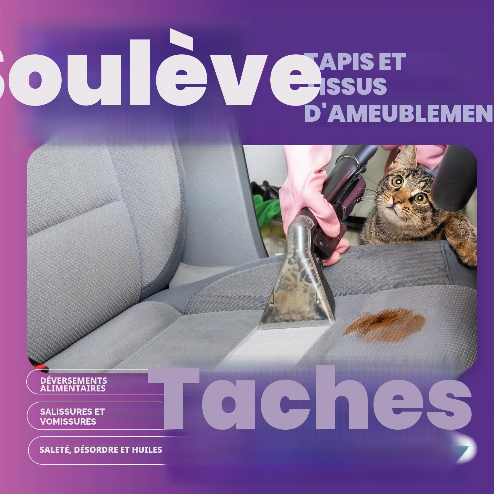 Dirtbusters Solution shampooing nettoyage tapis tissus voiture 5 litre | Habillage intérieur de voiture, Pour machines à tapis moquette