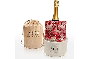 Diy Plastic Wine Bottle Chiller Bucket