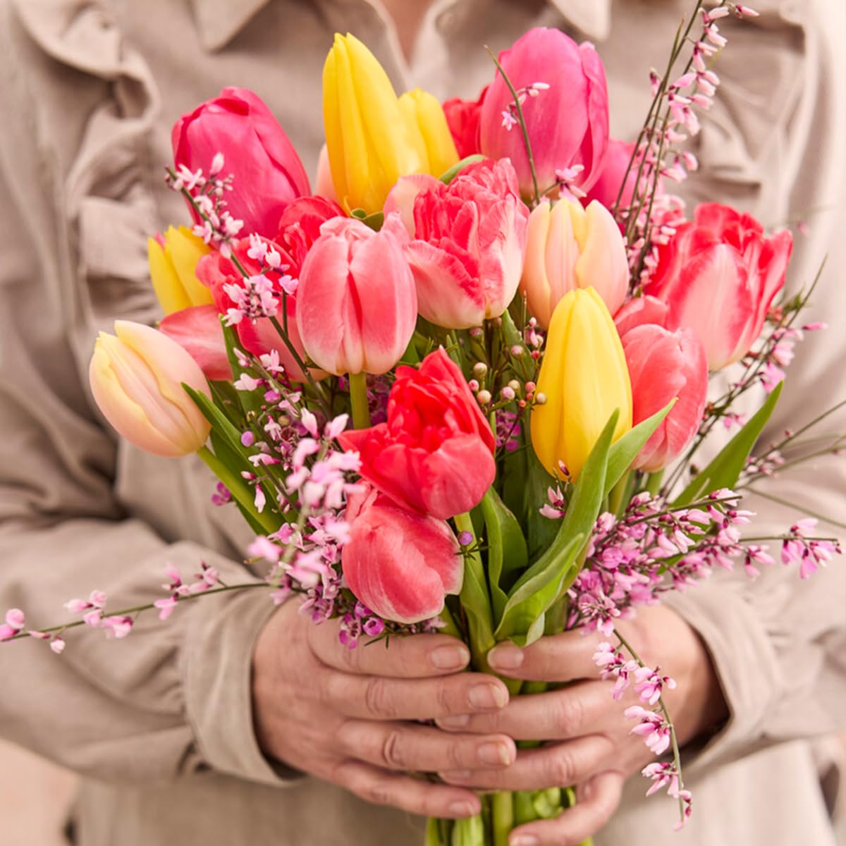 Bloomique Mélange De 20 Tulipa Bulbes De Tulipes Blanc Bulbes