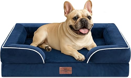 Miniatura 263 de Comfort Expression - Cama ortopédica perros pequeños, 20 x 14 pulgadas, impermeable, espuma soporte cartón de huevo, cojines extraíbles, sofá con