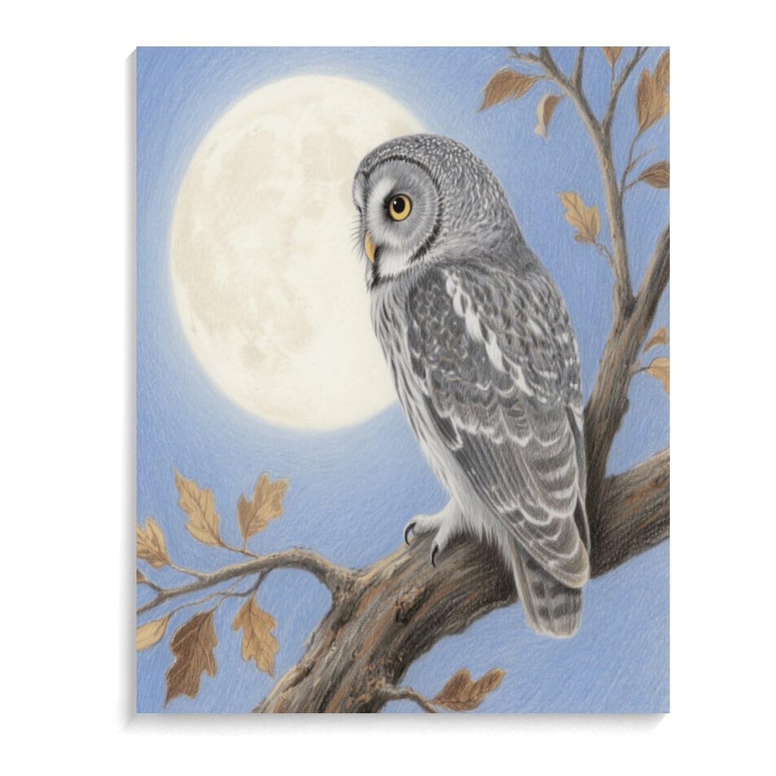 KOAYUBFC Malen-nach-Zahlen-Set mit sitzender Eule für Erwachsene, Anfänger, Erwachsene, Malen-nach-Zahlen-Kits auf Leinwand, DIY-Acryl-Ölfarben, Malerei mit Pinseln für Geschenk, Heimdekoration