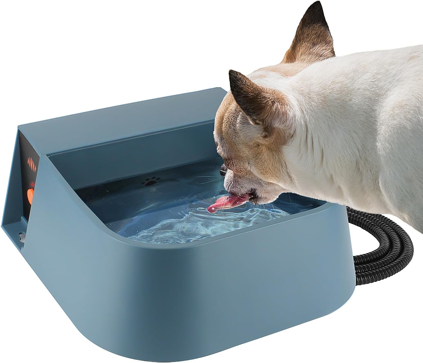 BACOENG Distributeur Eau Chien à Activation Facile, Jouet de Fontaine d — free download