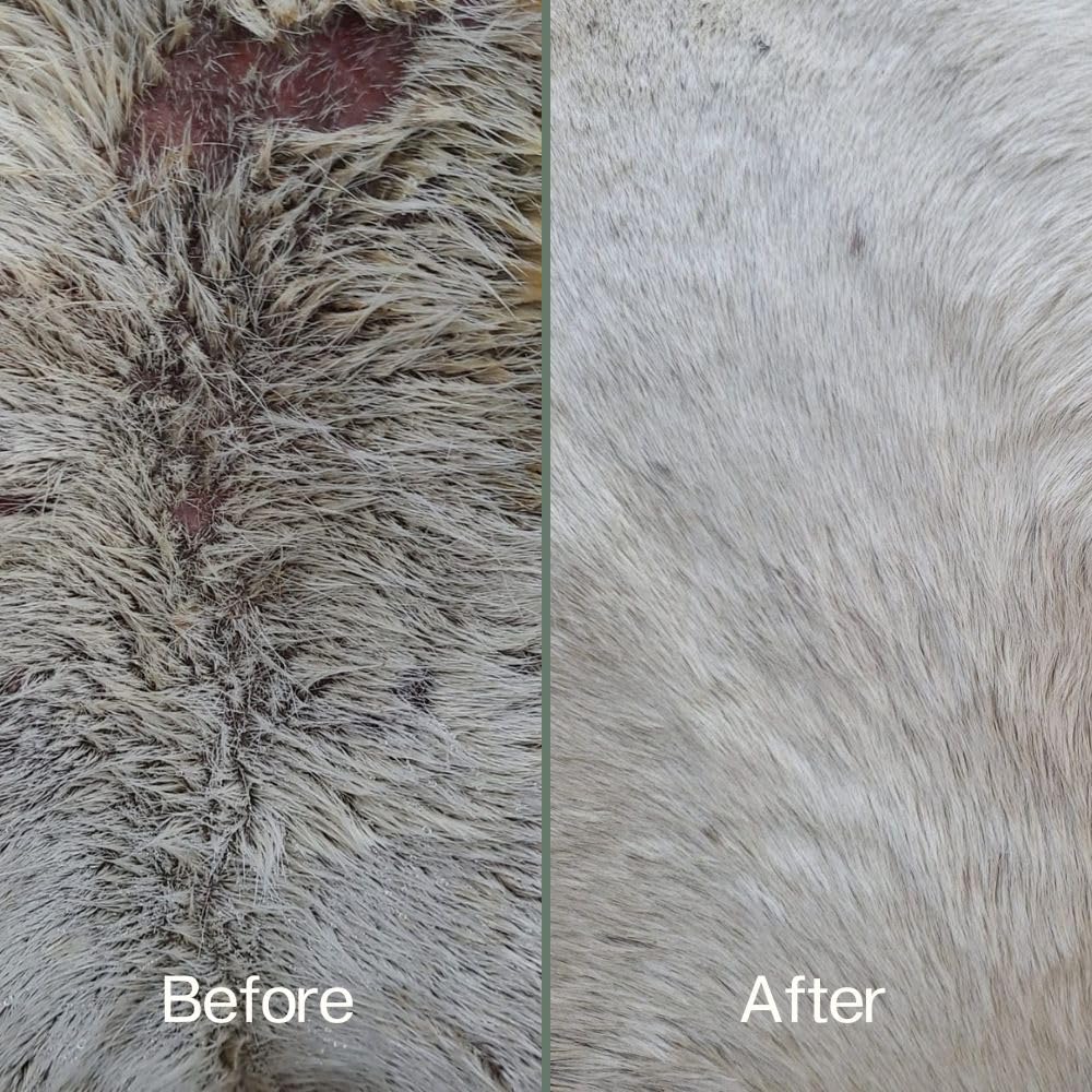 Anicura Horse Healing Gel 100ml, Advanced Care for Cuts Wounds, Scabs & Skin Irritations, Soothes - Image 2
