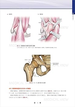 一瞬で結果を出す根本的アプローチ！経筋膜操体✖️重心施術 一瞬で結果を出す根本的アプローチ 経筋膜操体×重心施術 笹倉栄