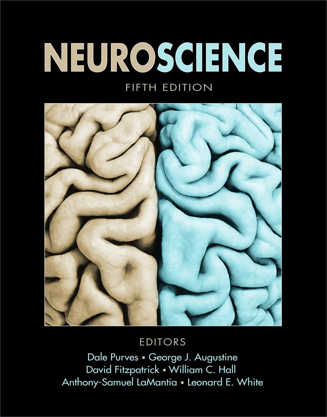 Neuroscience 5th Edition