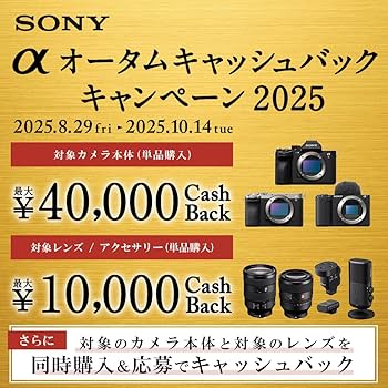 Amazon.co.jp: ソニー(SONY) 広角単焦点レンズ フルサイズ Distagon T