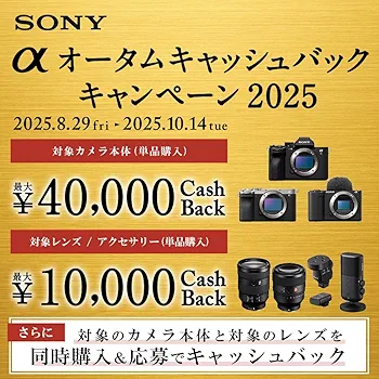 Amazon | SONY(ソニー) 【レンズ と プロテクター セット】 大切