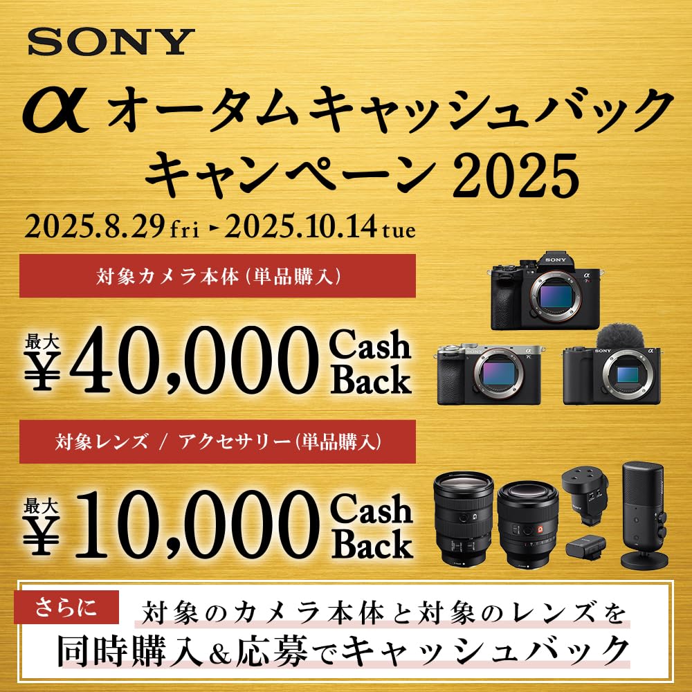 Amazon | SONY(ソニー) 【レンズ と 純正プロテクター セット