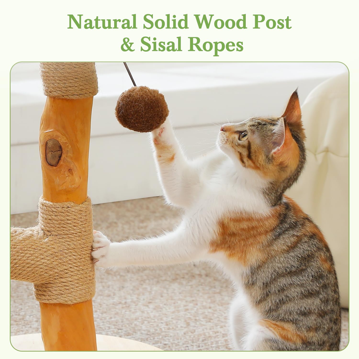 PAWZ Road Katzenkratzbaum Palme für Katzen – Kratzsäule aus Naturholz mit interaktivem Balltrack & 2 Spielbällen, Stabiler Katzenkratzstamm, Terracotta, 44 cm