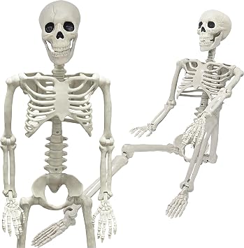 36" Skeleton Halloween Decorations, 3FT Realistic Full Body Movable Posable Joints Skeleton, Creepy Halloween Plastic Skeleton for Graveyard Decorations, Haunted House Props Indoor/Outdoor Decor