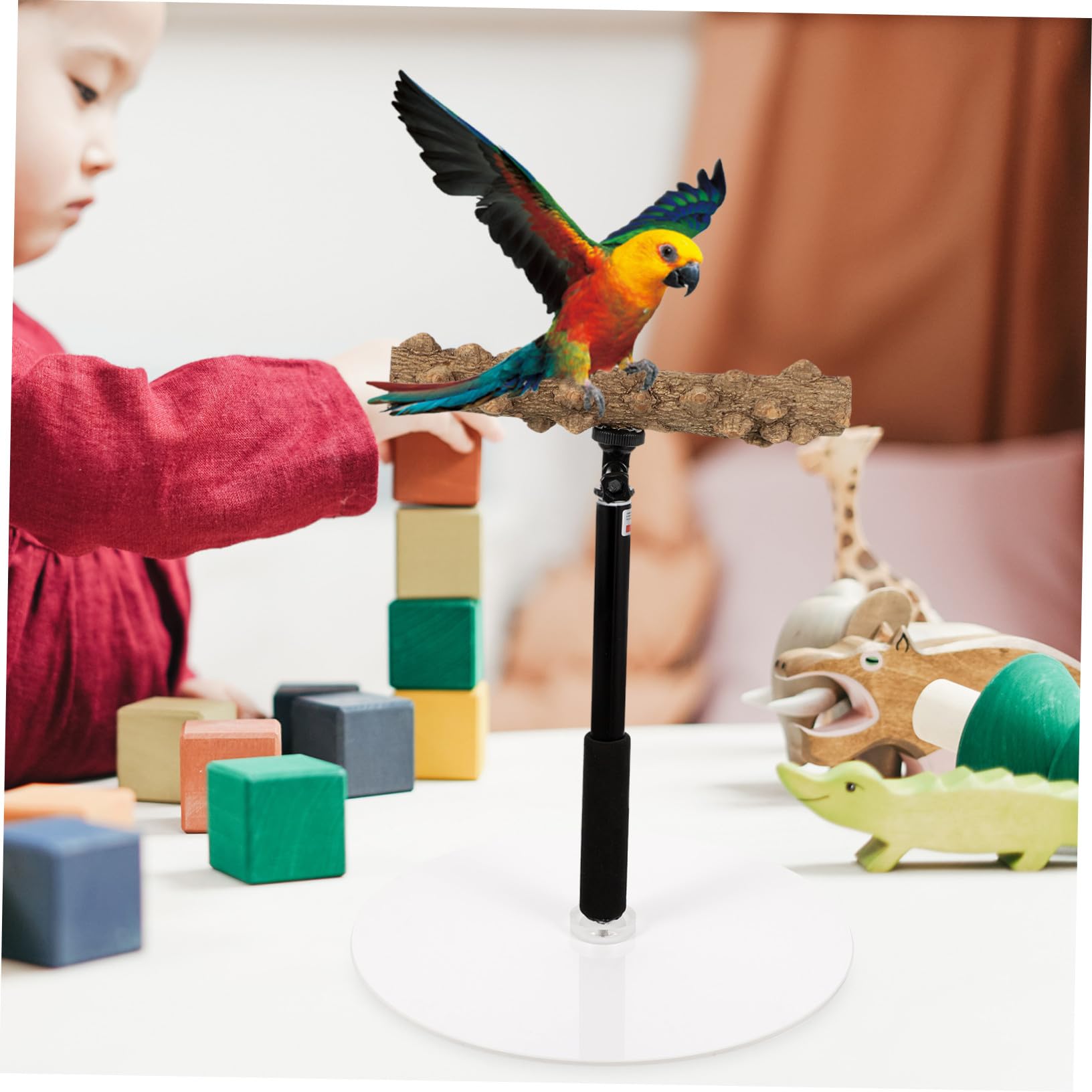 Supvox Höhenverstellbare Vogelstange und Metall mit Stabilem Fuß als Trainingsspielzeug für Papageien Beim Beobachten und Spielen