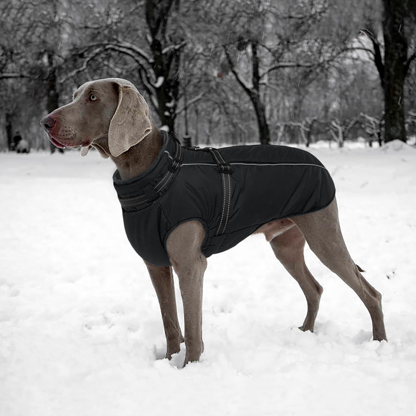 Lelepet XXXL Hundemantel Mit Geschirr - Integrierte wasserdichte Hundejacke, Warmer Wintermantel, Dicke Fleecejacke - Reflektierend, Verstellbar, Für Dogge