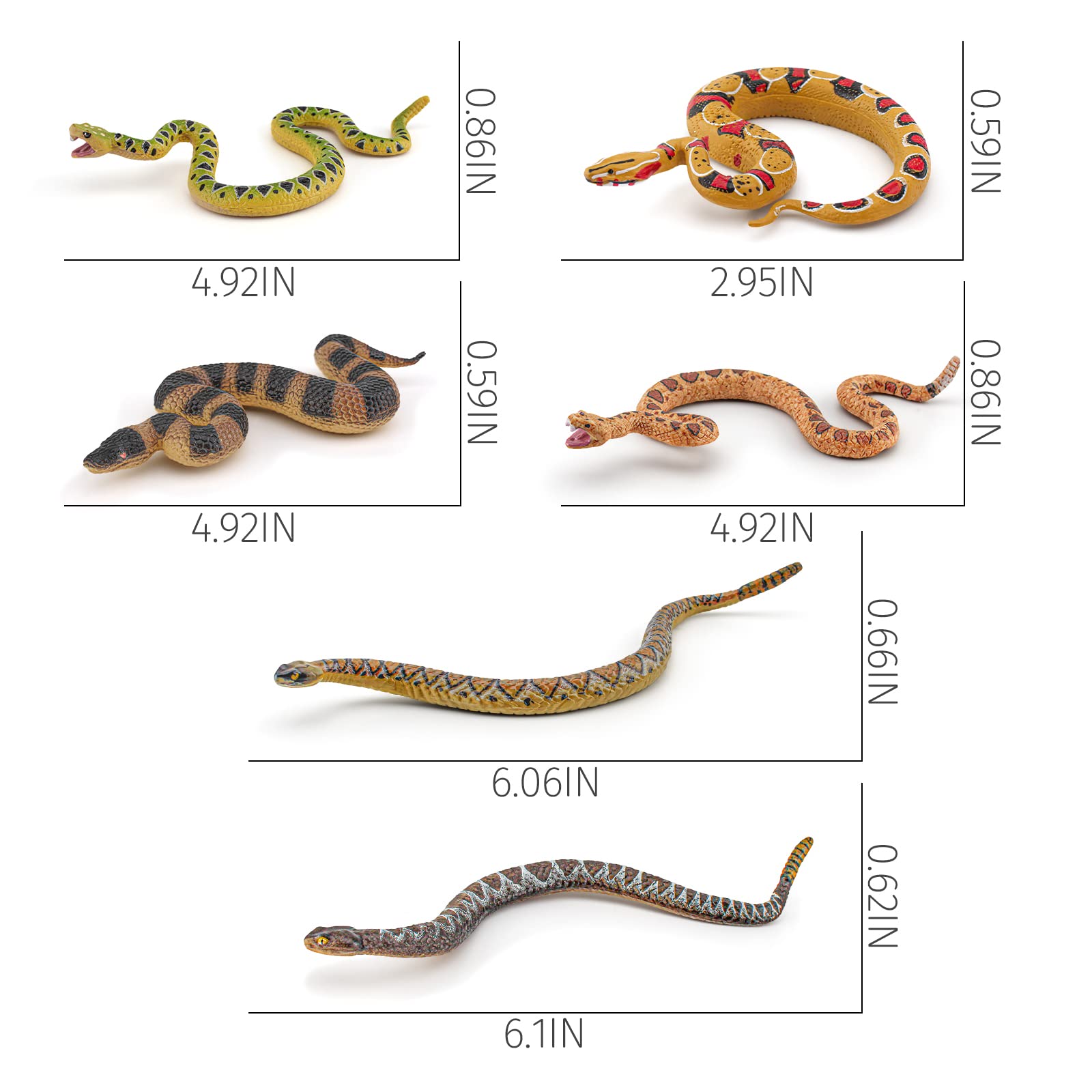 Boa Growth Rates Red Tail Boa Growth Chart Basic Information Sheet: Boas And Pythons
