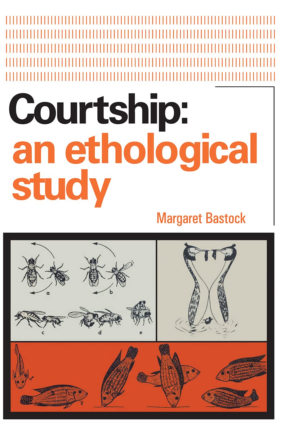 Buy Courtship: An Ethological Study — BookShops.in