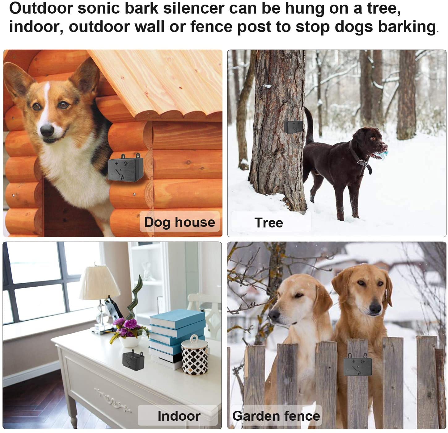 Why Is My Dog Barking At The Wall