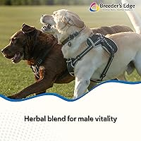 Vista 2 de Breeder's Edge Get Him Going, Suplemento de rendimiento reproductivo para perros y gatos machos, apoya la libido, la energía, el equilibrio hormonal