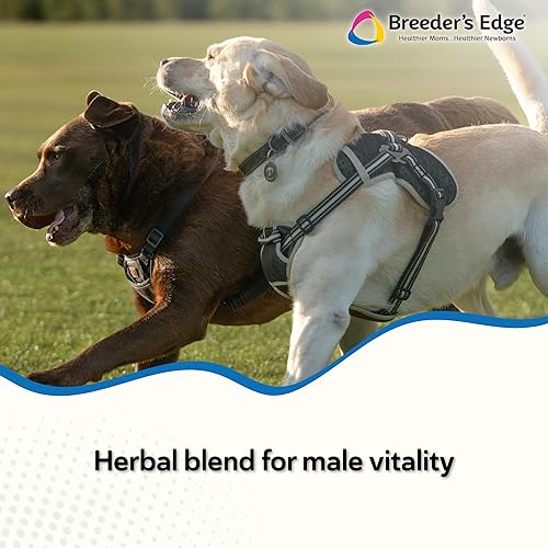 Miniatura 2 de Breeder's Edge Get Him Going, Suplemento de rendimiento reproductivo para perros y gatos machos, apoya la libido, la energía, el equilibrio hormonal