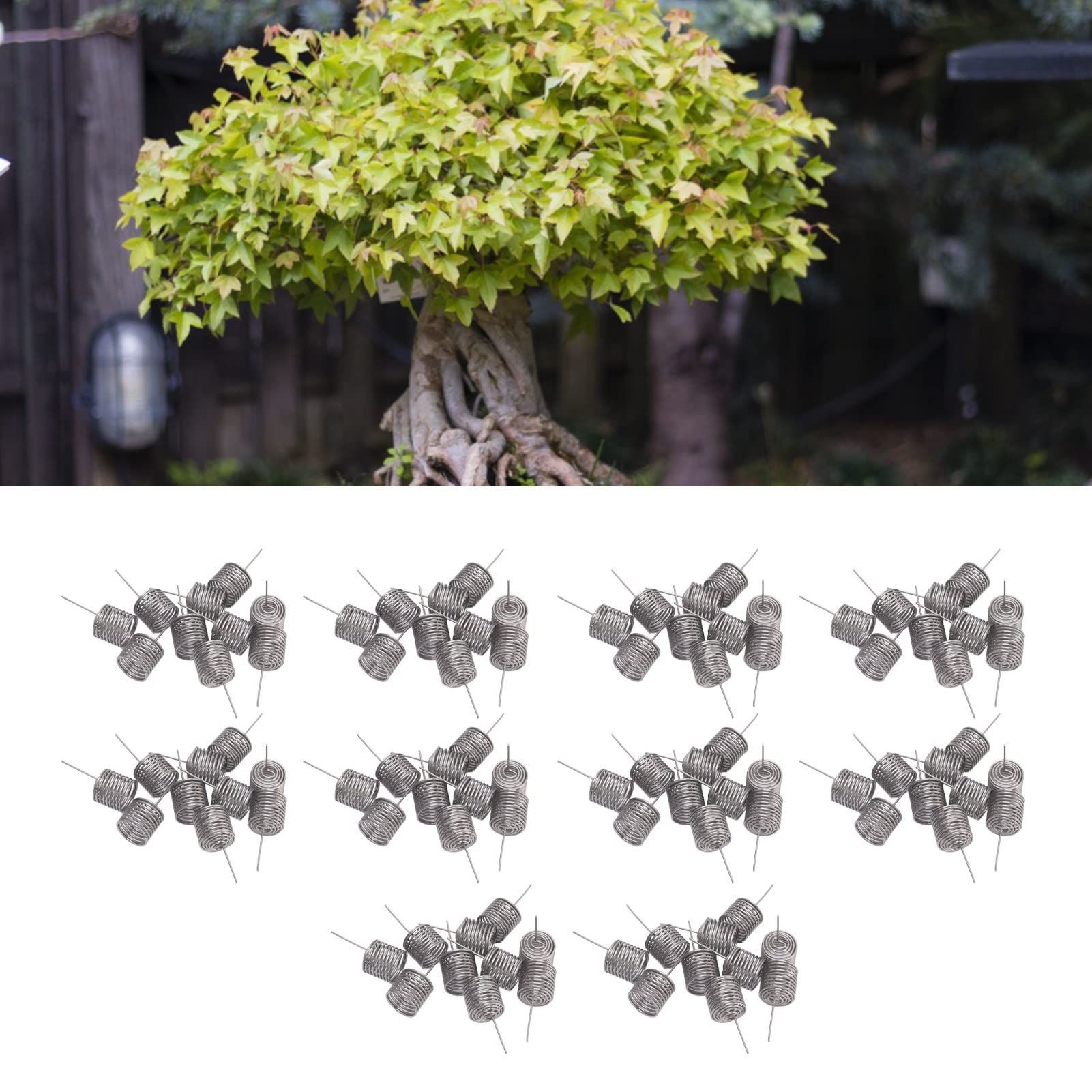 100pcs Nawóz Koschowa KOMP KOLUMNE KOUNKUJ STALNE Pudełko odżywianie ze stali nierdzewnej dla roślin doniczkowych Soczurne Orchid Garden Surcher