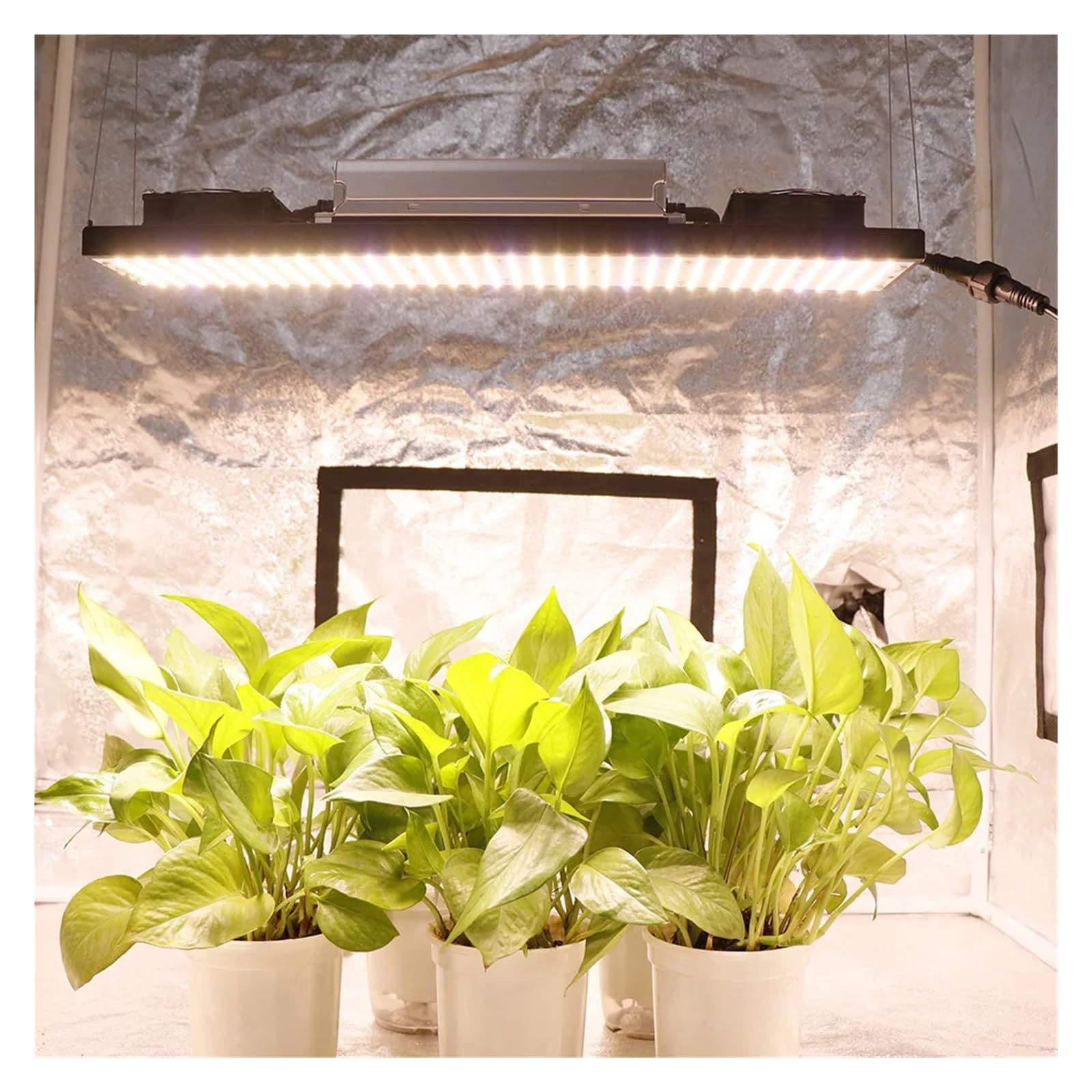 EDEDE Lámpara de Planta, Luz LED de Cultivo LM301H V5 Tech, 240W, 480W, 720W, lámpara Phyto de Espectro Completo for Plantas de Interior, Flores Vegetales hidropónicas, para Plantas(3KK,480W)