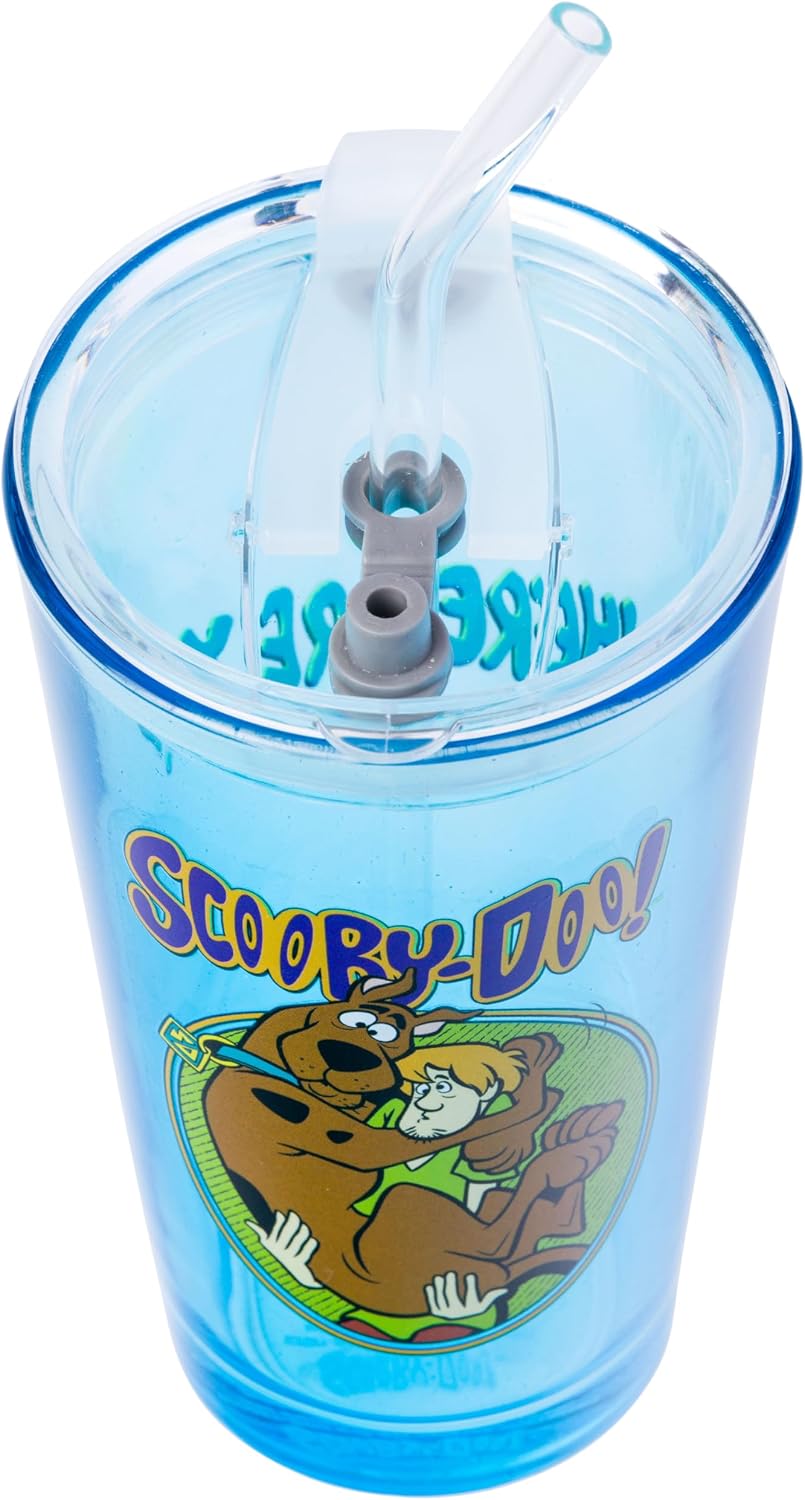 Silver Buffalo Scooby-Doo Shaggy, Pint Glass, 16oz