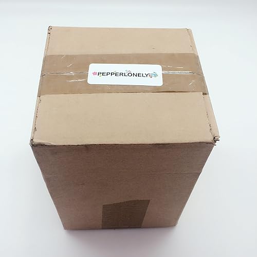 Miniatura 6 de PEPPERLONELY Conchas de Nautilus con cámara natural de 5 pulgadas  6 pulgadas