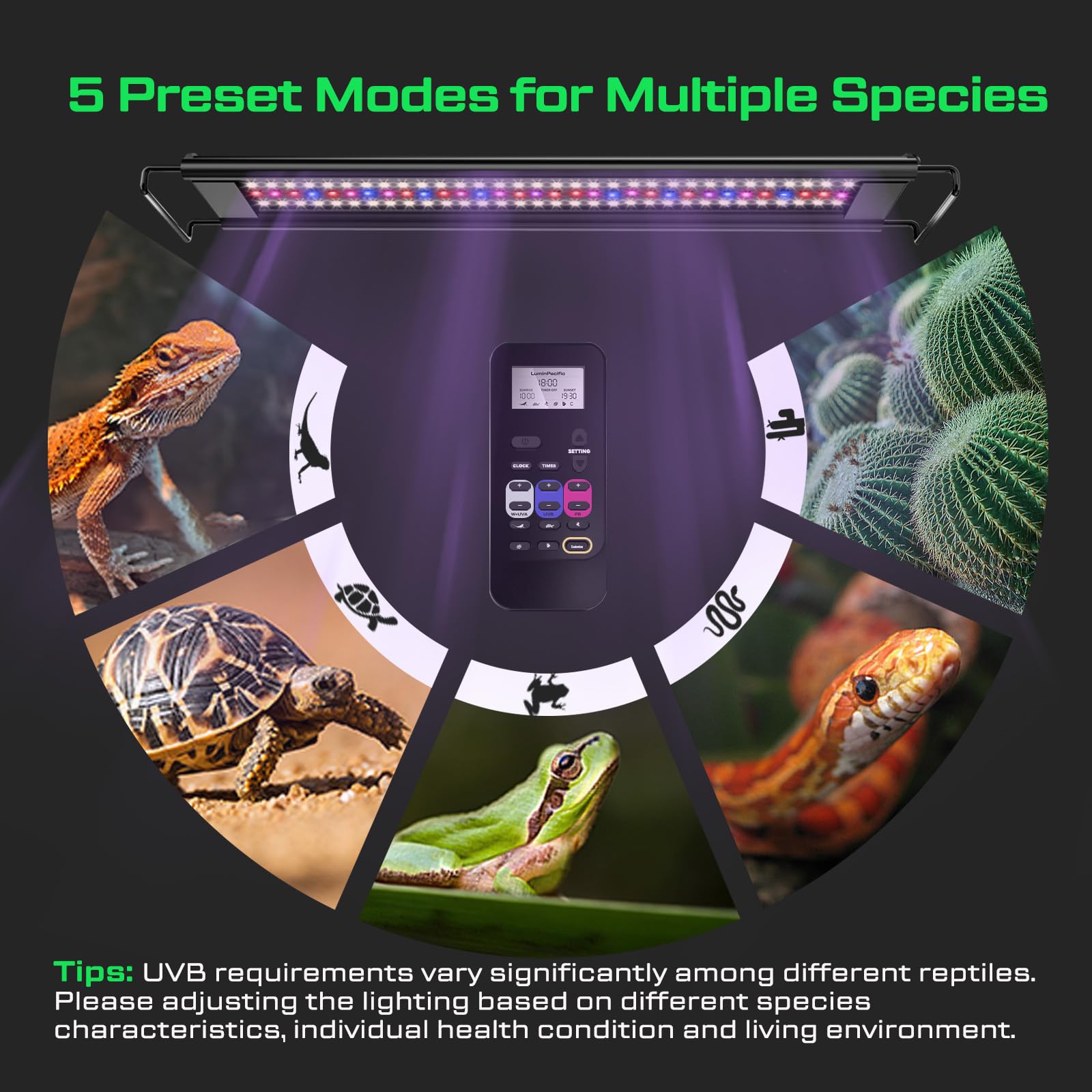 LuminPacific 12W UVB Reptile Light, Dimming UVB UVA Reptiles Strip Lamp, LCD Remote Control with 24/7 Timer, UVB Strip Lights for Bearded Dragon Leopard Gecko Tortoise Frog Snake Plant - image 7