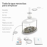 Ver la foto 3