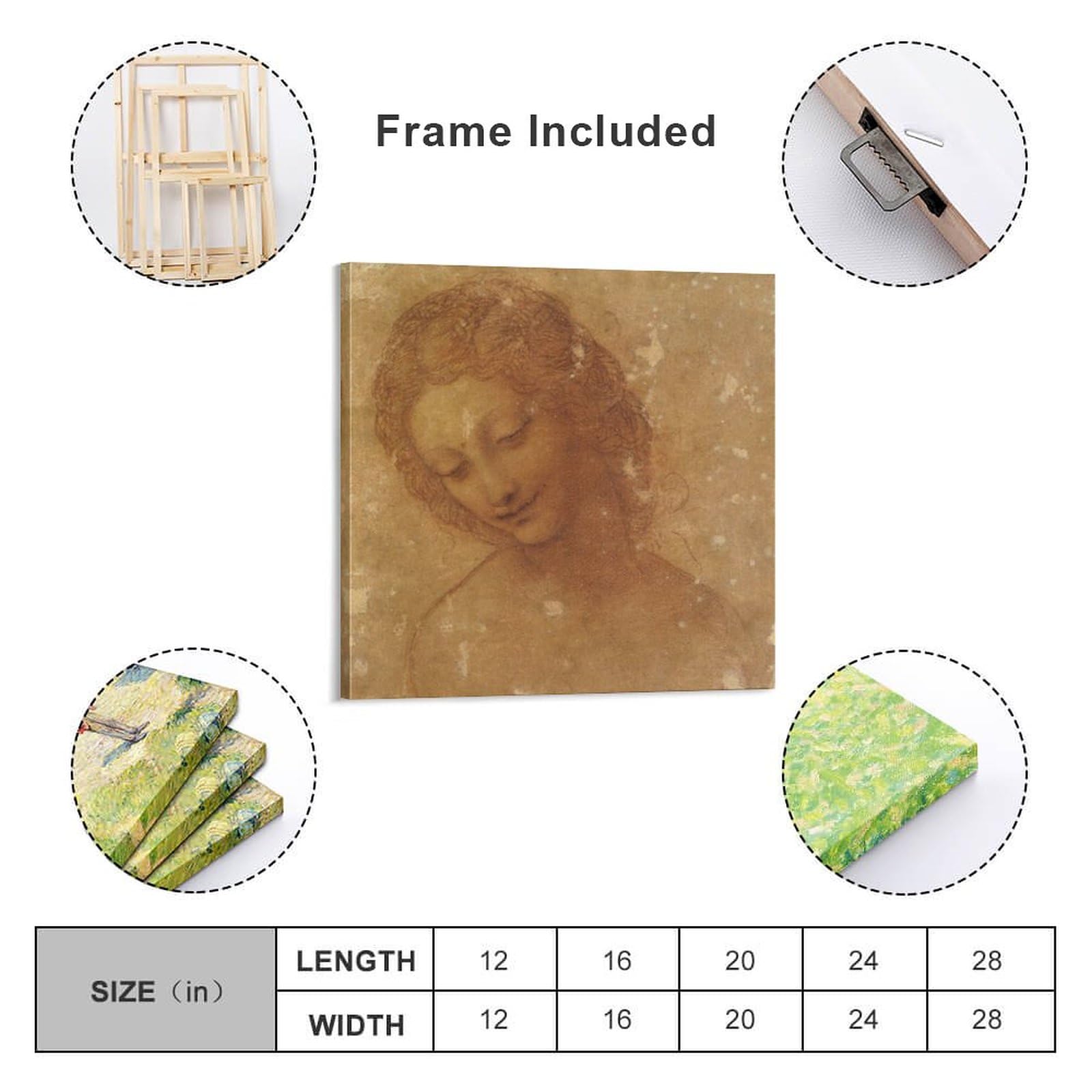 Amazon.co.jp: Leonardo Da Vinci レオナルド・ダ・ヴィンチ「レダの頭