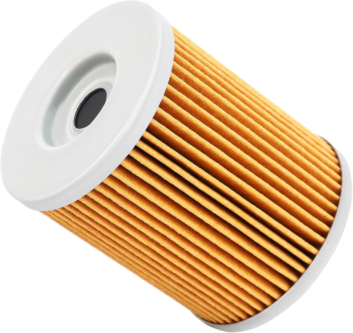 Road Passion 420256188 Oil Filter Compatible with Can-Am 1000 SSV Maverick Trail DPS 976 2018-2022/ 1000Rc 2018/ Sport 2019-2022/ Max DPS 2019-2022/ X mr 2020-2022/ rc 2020-2022/ xc 2020-2022 (2 PCS）