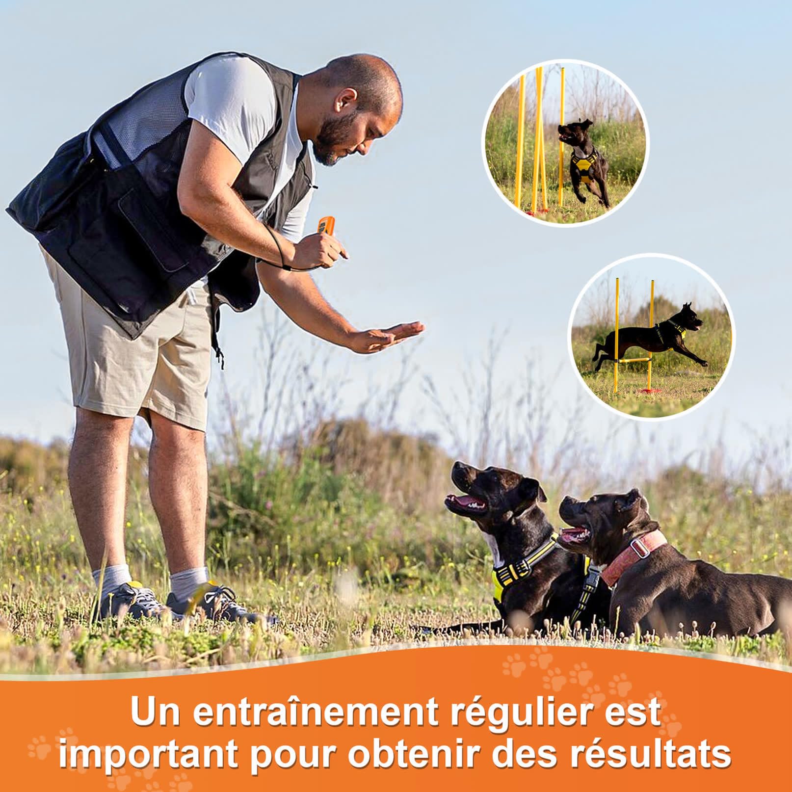 Anti Aboiement Chien Ultrason Puissant