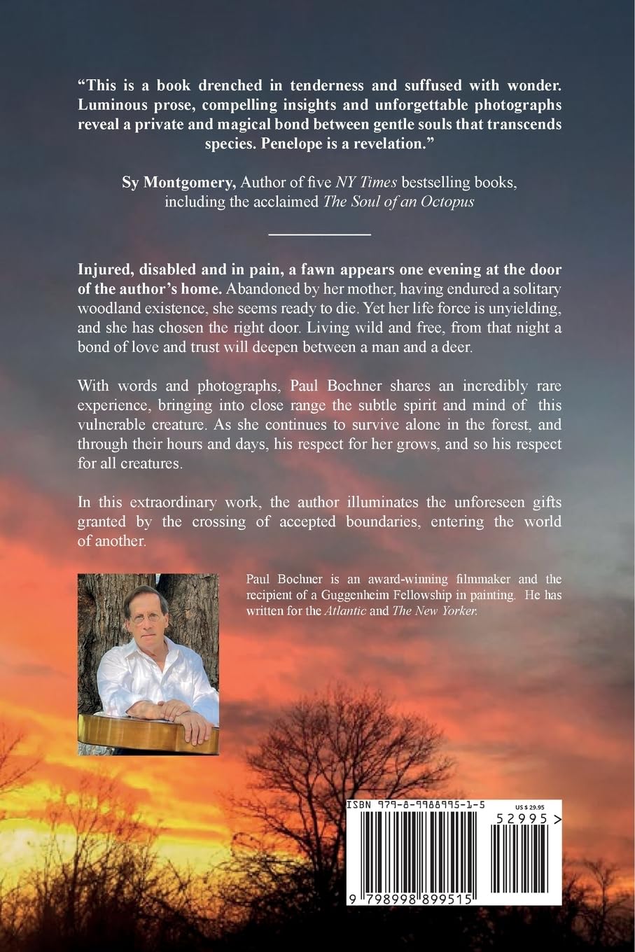 Penelope: The World of Each Other      Paperback – October 29, 2025