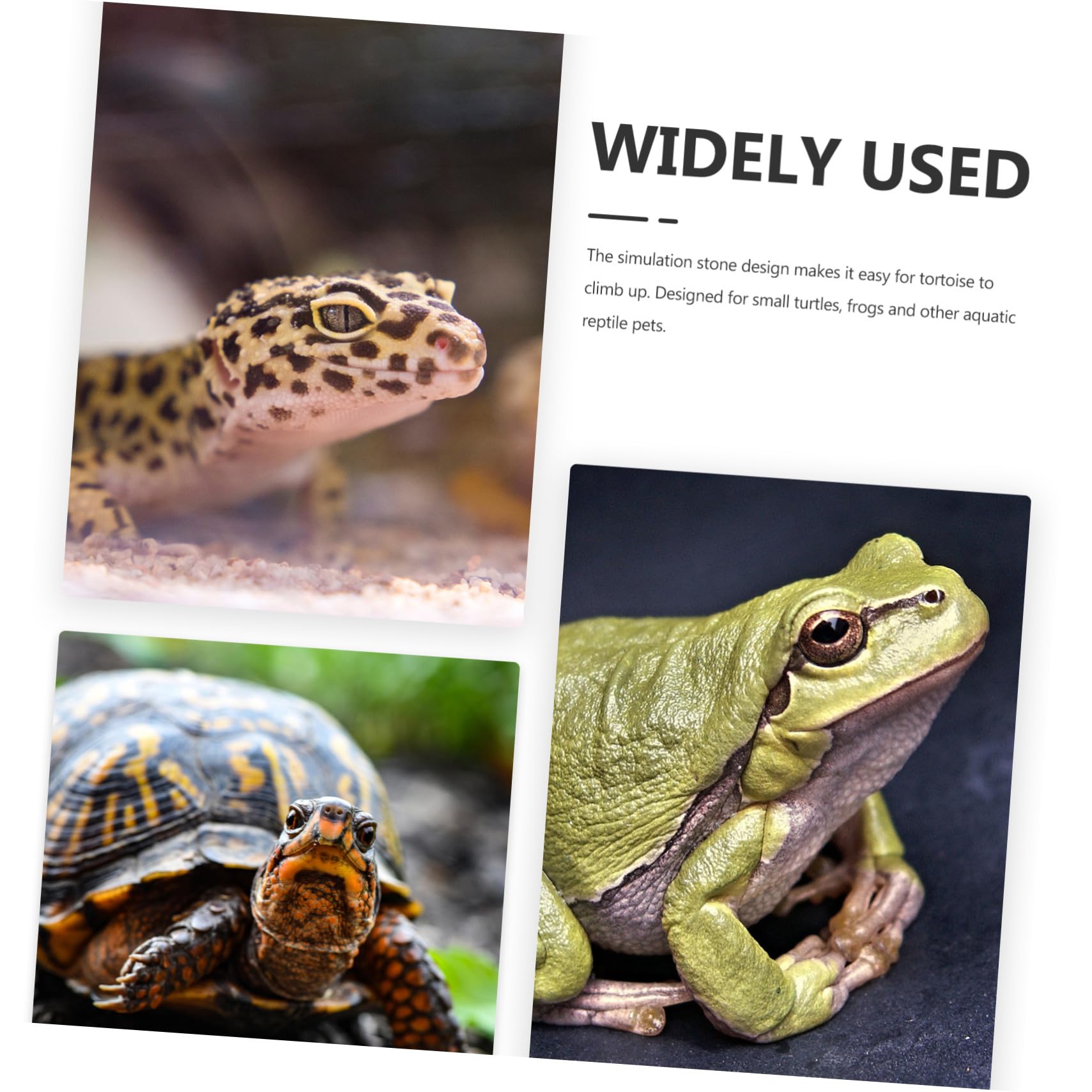 Schildkrötenplattform Sonnenplatz mit Starkem Saugnapf Steinoptik Aquarium Dekoration für Terrarium Kleine Reptilien