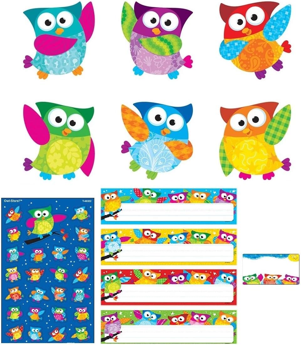 Owl Classroom Decorations Set of 32 Classroom Name Tags
