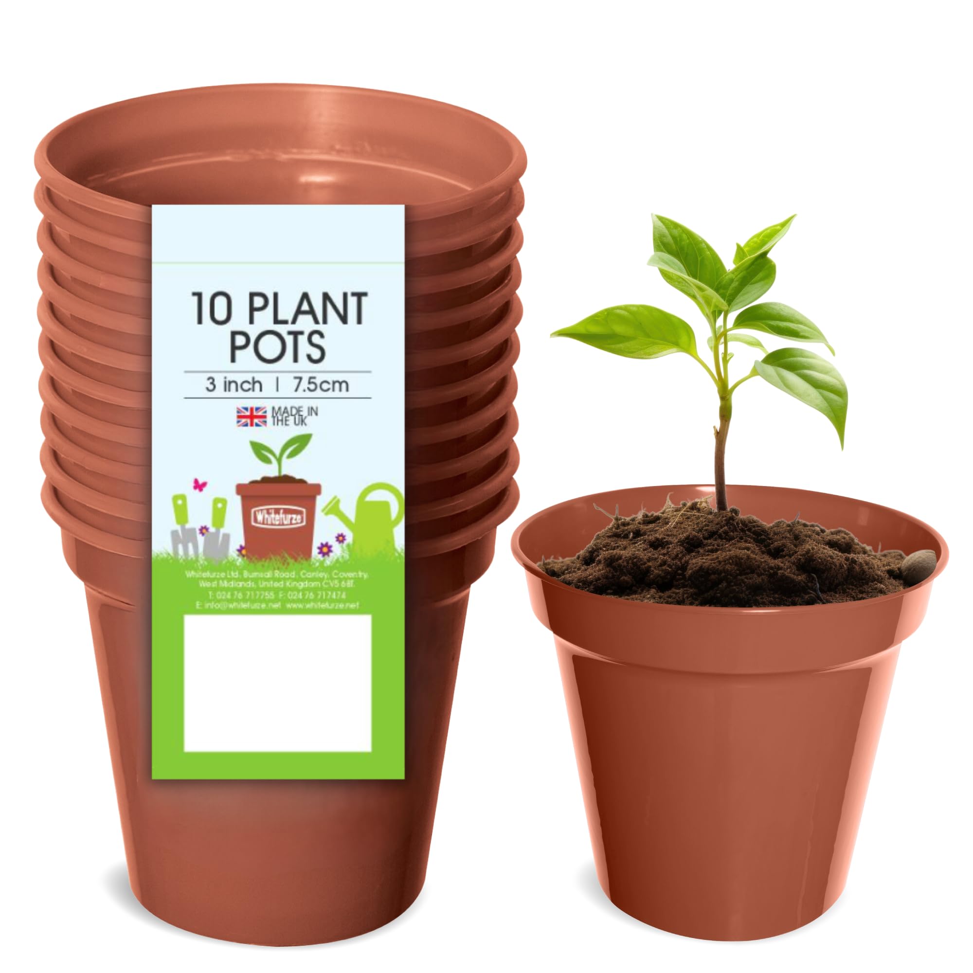 Whitefurze - Basic Plant Pots - Indoor Plant Pots - Flower Pots for Small Plants, Cuttings & Seedlings - Durable Polypropylene Plant Pots for Indoor & Outdoor Use, 15cm Diameter - Set of 3 — view 21