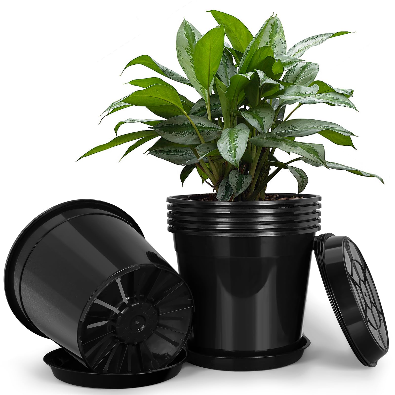 Amazon.com: FUIJOL 3 Gallon Plastic Pots with Drip Trays, Sturdy Gallon Plant  Pots with Drainage Holes, Large Gallon Pots for Flowers, Ideal for Indoor  and Outdoor Use (3Gallon-6PACK) : Patio, Lawn &
