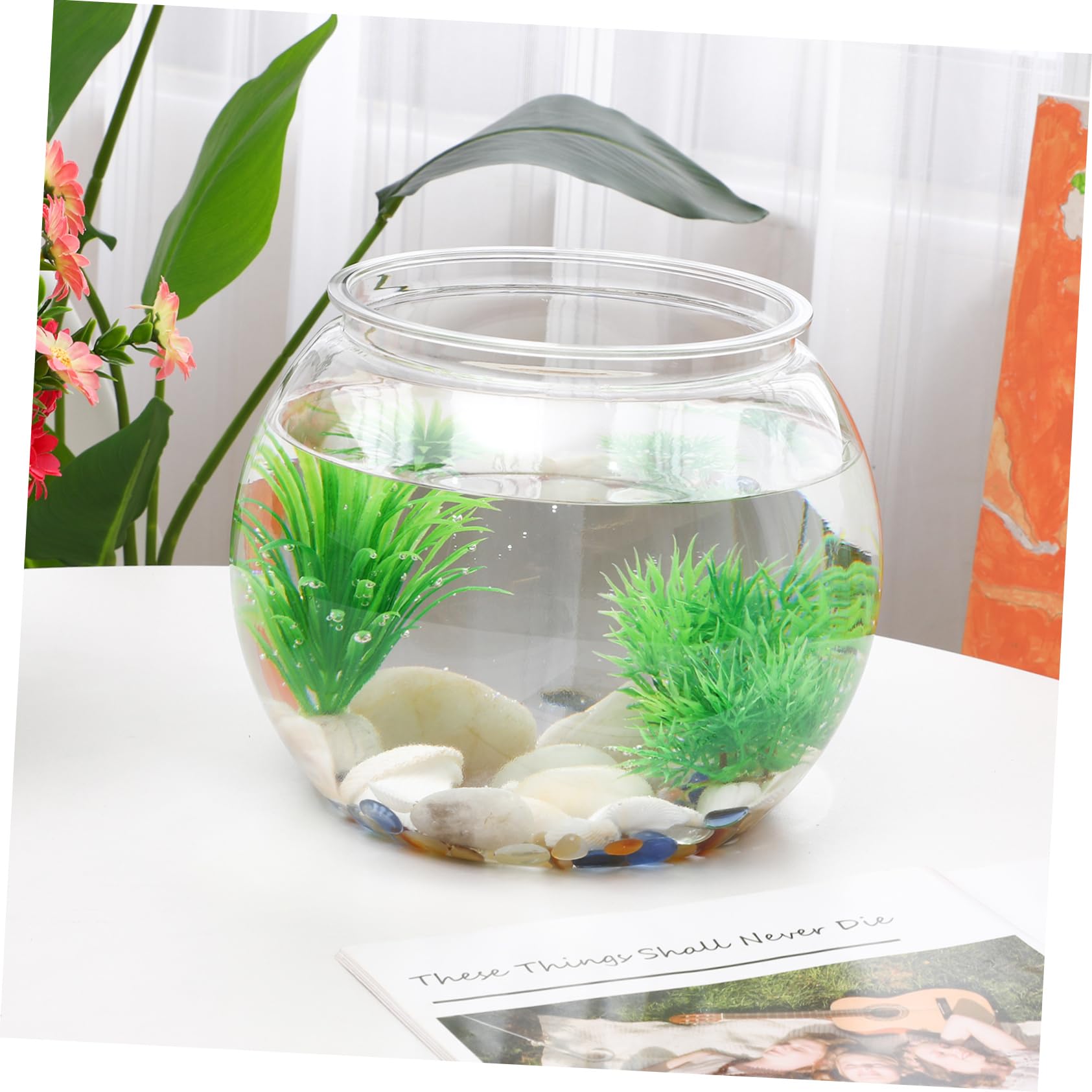 Kork-Glas Terrarium 15x15x13 Cm – Transparentes Dekoglas Für Pflanzen, Fische Oder Deko