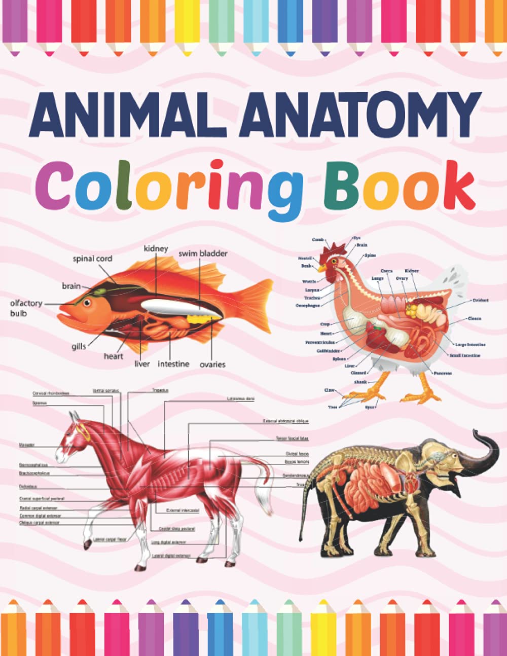 Animal Anatomy Coloring Book: The New Surprising Magnificent Learning Structure For Veterinary Anatomy Students. Introduction to Animal Anatomy and ... Animal Anatomy & Physiology Coloring book.