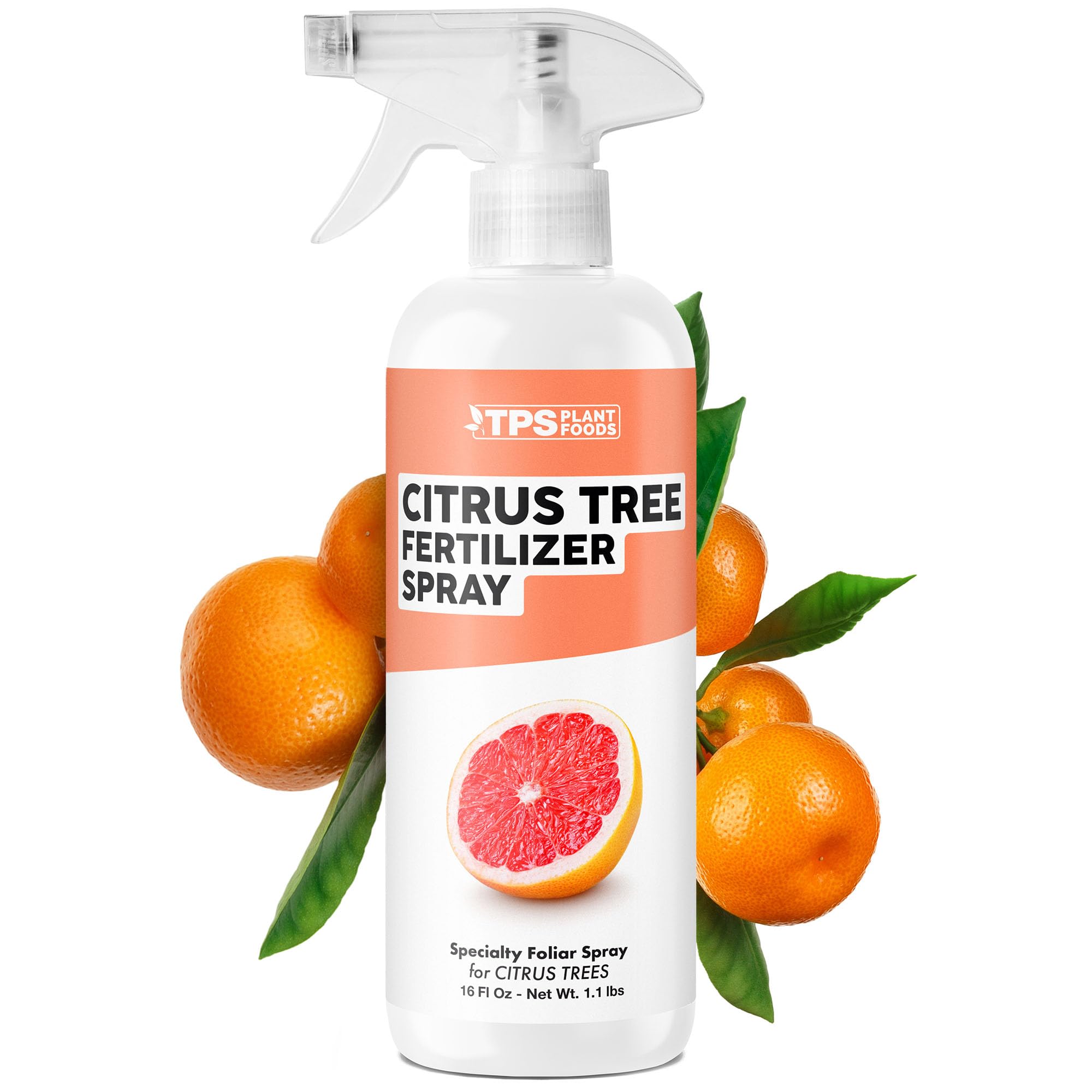 Amazon.com : Citrus Tree Fertilizer Spray – Fast-Acting Mist for