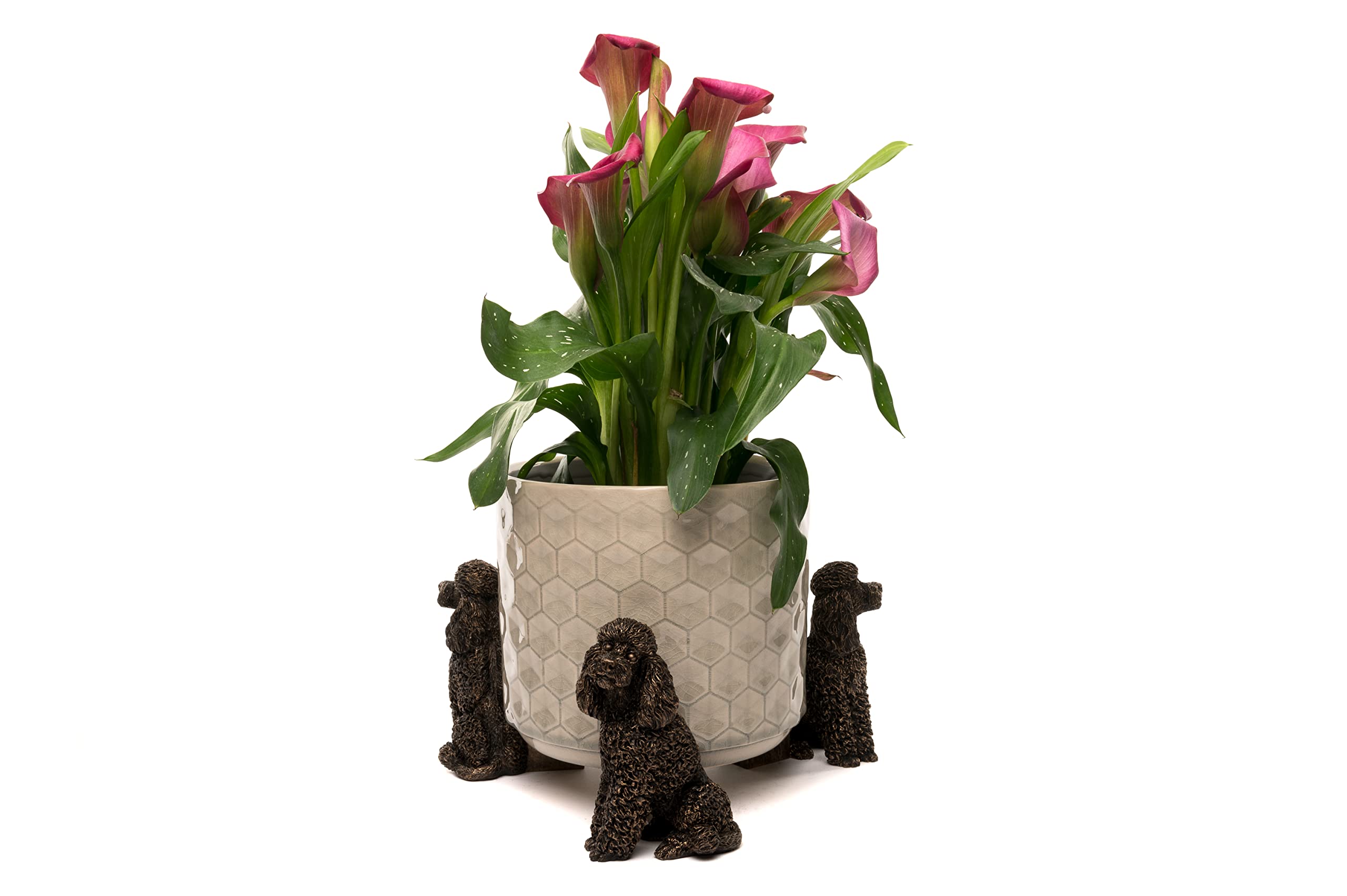 Potty Feet Bronze Decorative Poodle Themed Plant Pot Feet - Color - Set Of 3