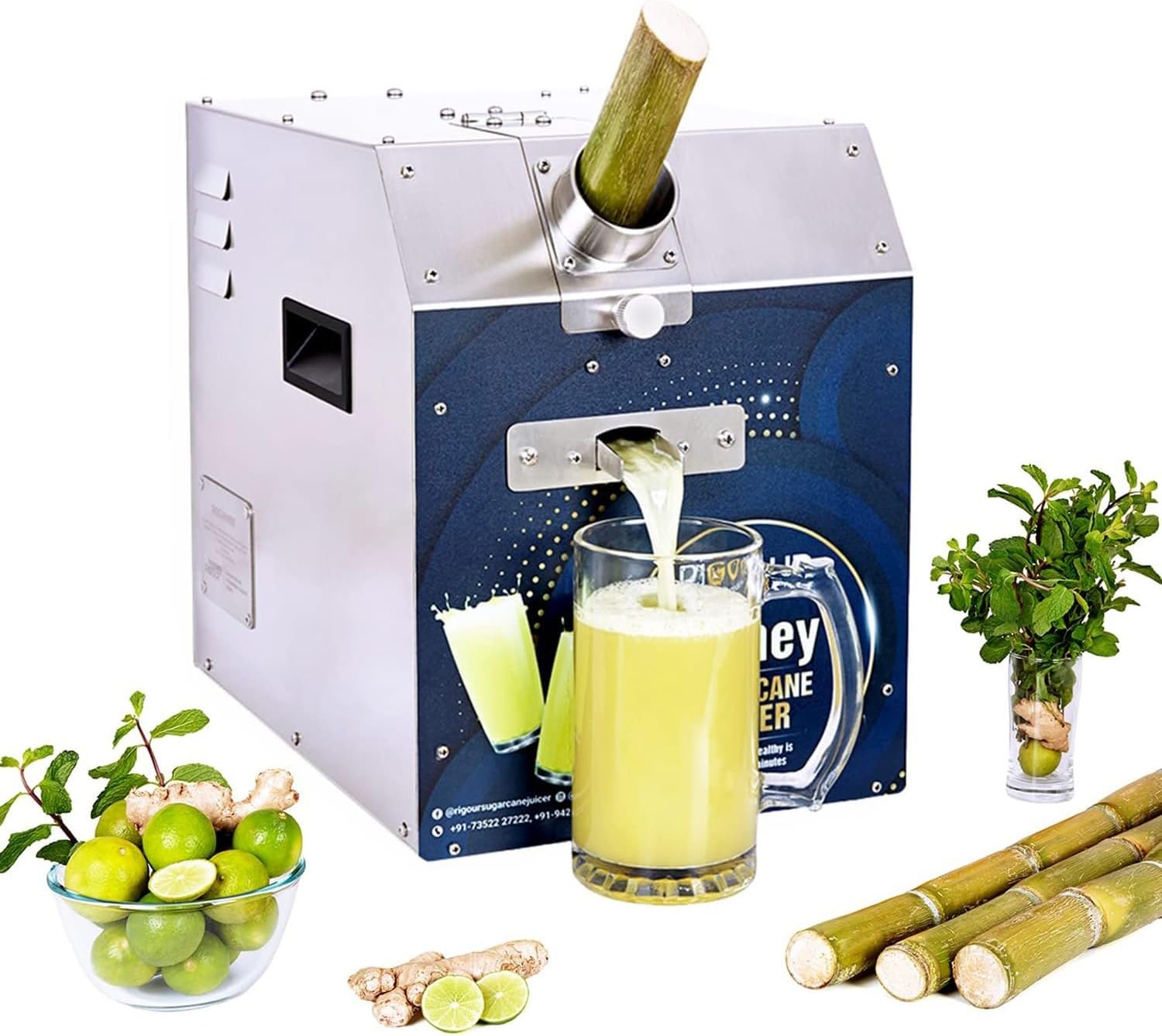 Homey Sugarcane Juicer