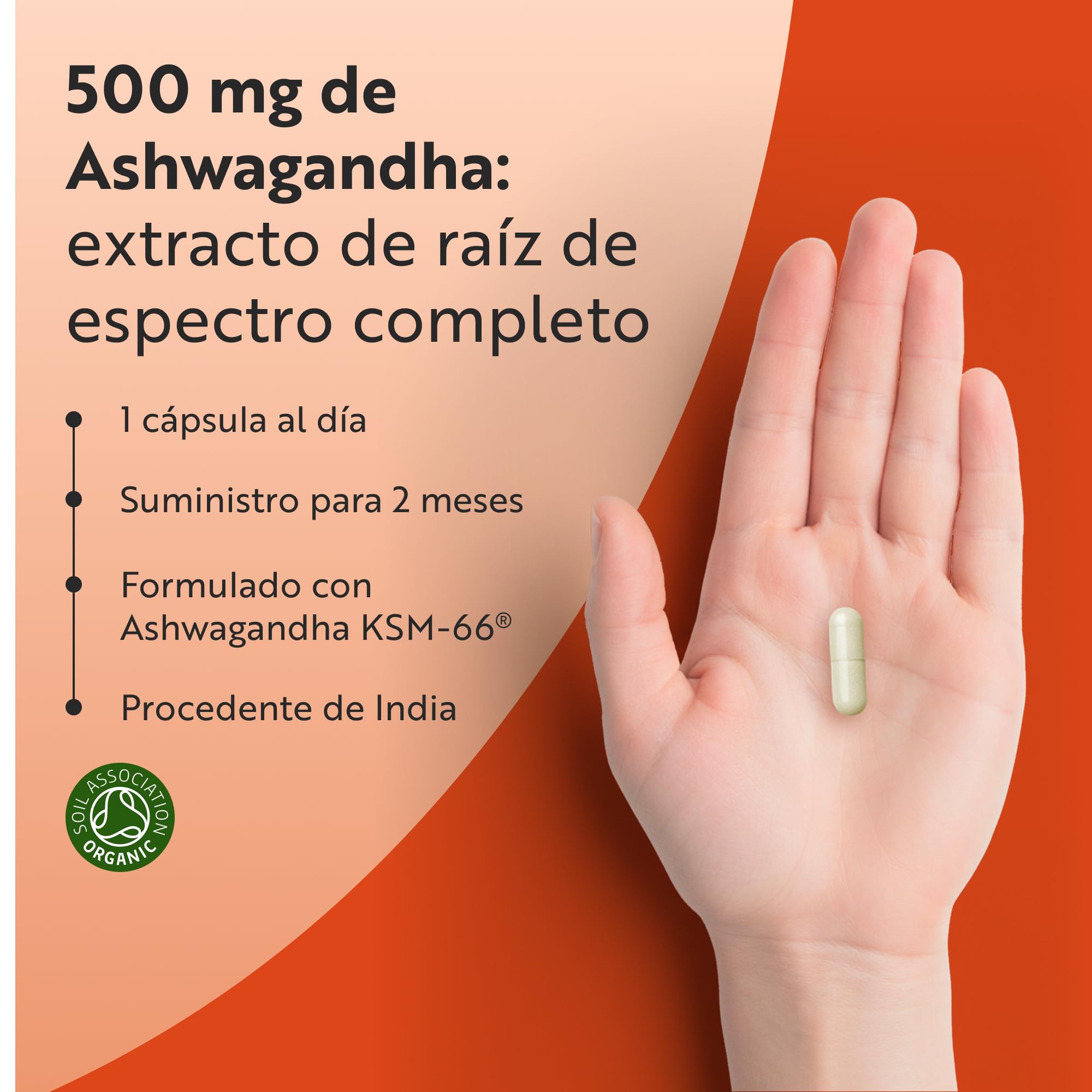 Nutravita Ashwagandha Orgánica 500mg - KSM-66® Sin Excipiente. 100% Natural Cápsula Vegana de Ashwagandha - Suplemento adaptógeno Ayurveda Ginseng Indio (Withania Somnifera) Antiflamatorio natural