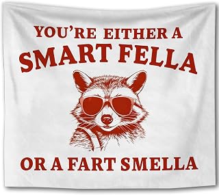 Foritho Funny Trendy Raccoon Tapestry, Humorous Trash Panda Tapestry Wall Hanging, You Are Either a Smart Fella Sarcastic Wall Tapestries for Bedroom Living Room Home Decor, 50x60 Inch