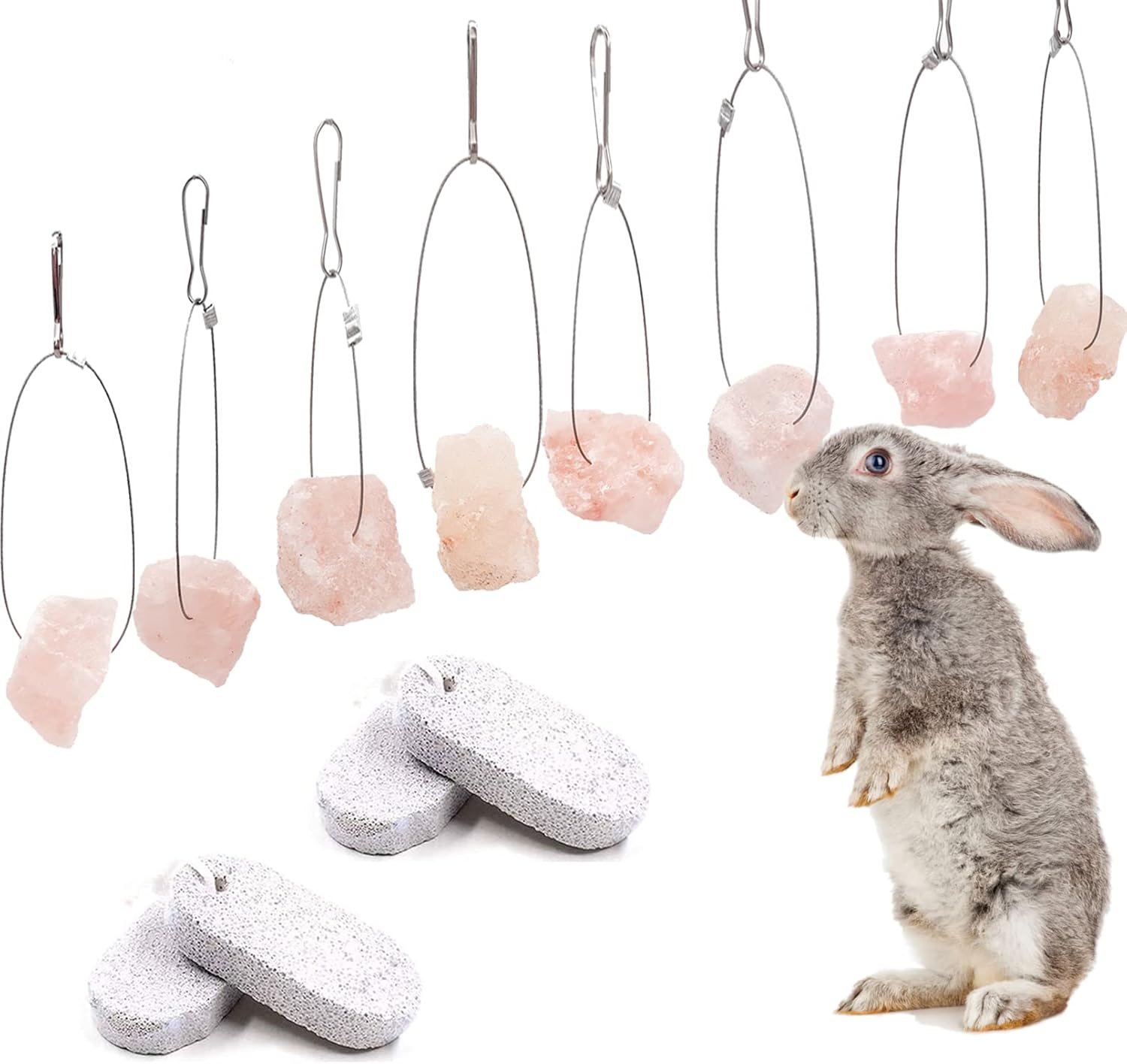 BNOSDM 12 Pack Small Animals Himalayan Salt Licks Set, 6