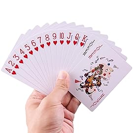 LotFancy Playing Cards, 24 Decks of Cards Bulk, Poker Size Standard Index, 12 Blue and 12 Red, for Blackjack, Euchre, Canasta Card Game, Casino Grade Poker Cards