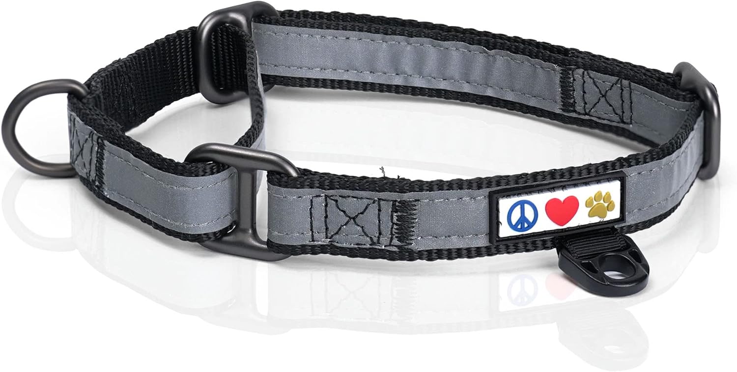 Pawtitas Martingale Dog Collar Puppy Collar Reflective Dog Collar Training Dog