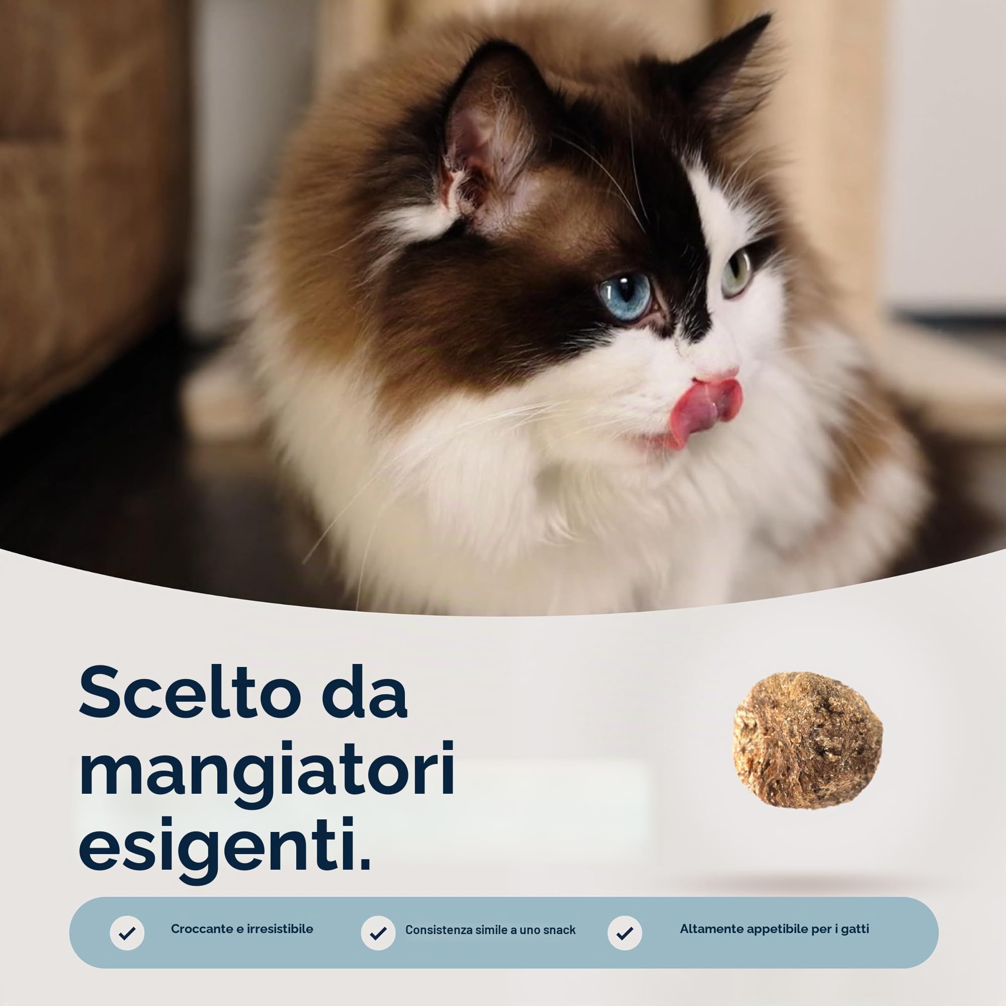 ZIWI Peak Steam & Pollo essiccato senza gabbie con sgombro intero, 2,2 kg, cibo secco per gatti naturale, ad alto contenuto proteico, alternativo crudo e senza cereali, cibo secco completo per gatti